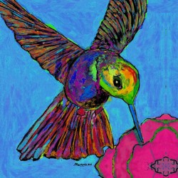 HUMMINGBIRD ON BLUE